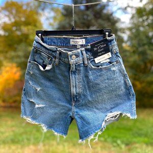 Abercrombie & Fitch Curve Love 4" Mom Short High Rise